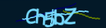 Enter the character string shown in the picture