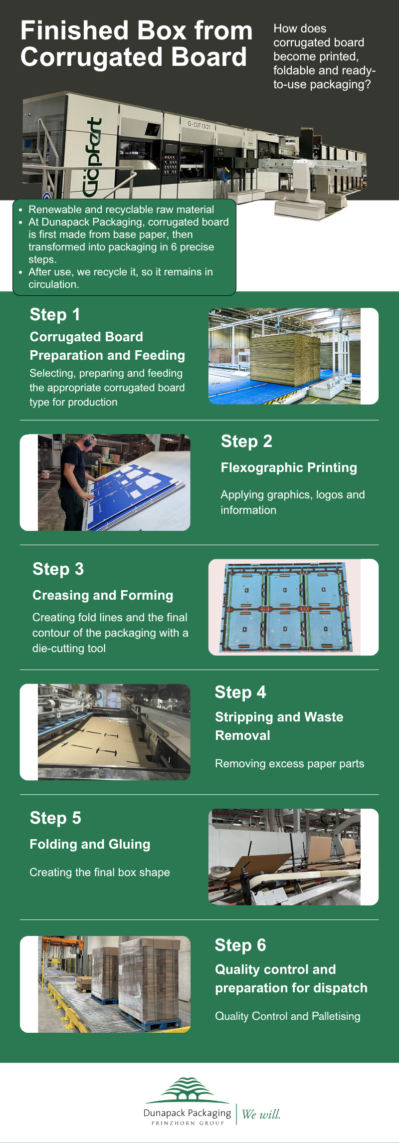 Infographic: How Is Corrugated Cardboard Turned Into Finished Packaging?