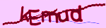 Enter the character string shown in the picture