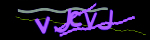 Enter the character string shown in the picture