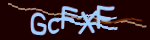 Enter the character string shown in the picture