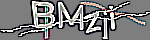 Enter the character string shown in the picture
